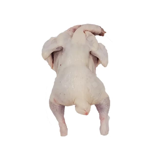 국산 생닭 10호