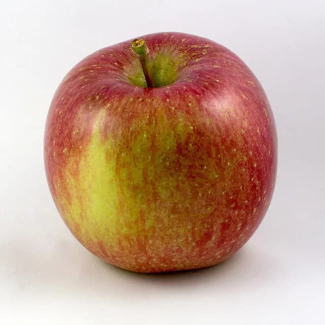 Apfel-Fuji.jpg