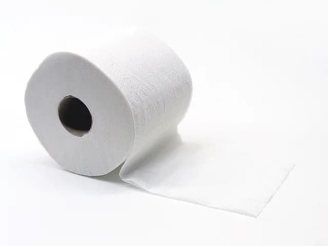 Toiletpapier (Gobran111).jpg