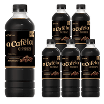 아카페라 올데이 아메리카노, 1L, 6개